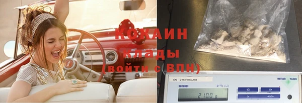 стафф Алзамай