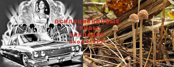 мяу мяу мука Абинск
