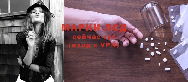 ПСИЛОЦИБИНОВЫЕ ГРИБЫ Абаза