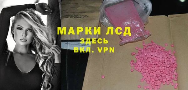 стафф Алзамай